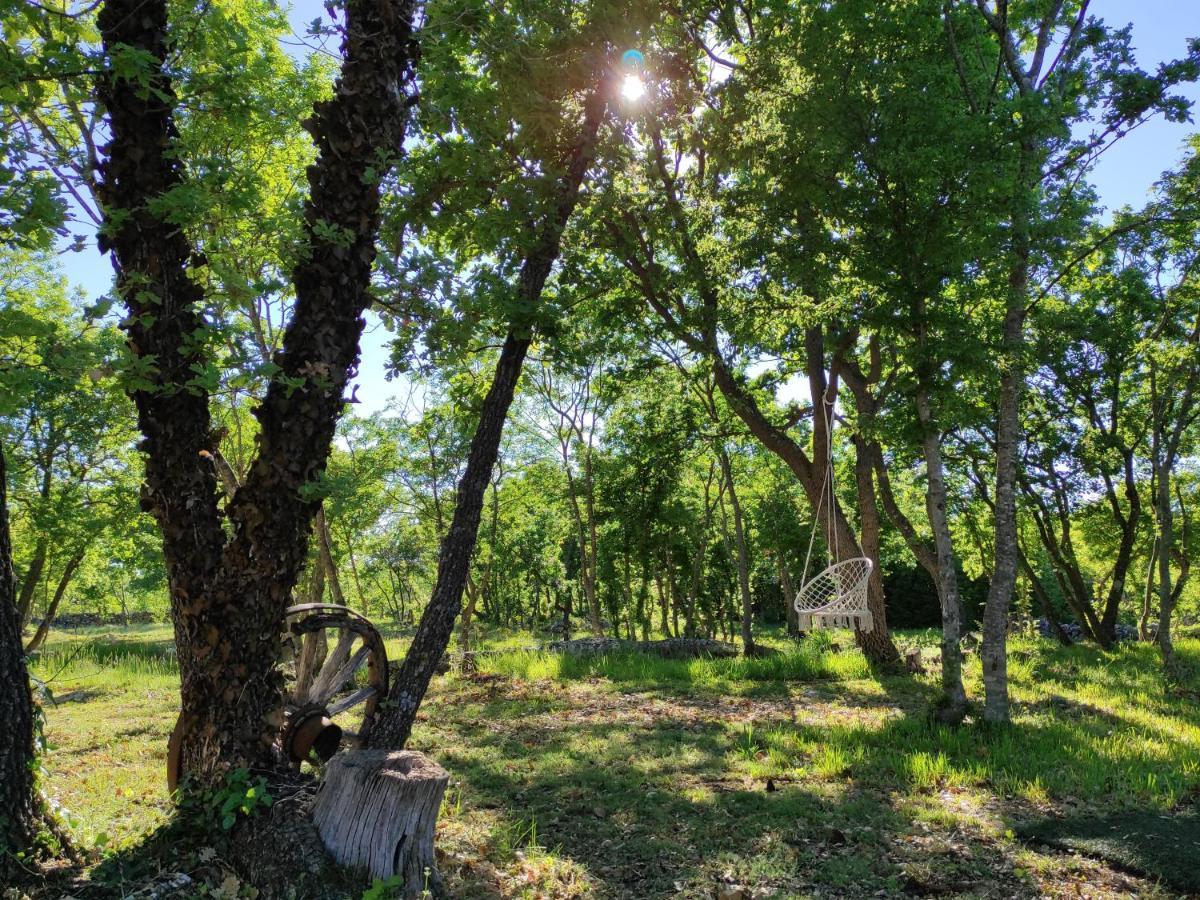Zen Promona Villa Puljane Екстериор снимка